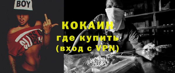 прущие грибы Баксан