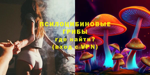 прущие грибы Баксан