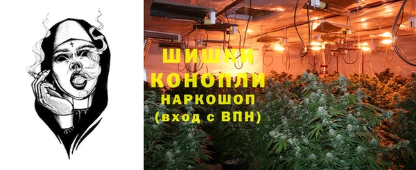 прущие грибы Баксан