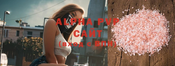 прущие грибы Баксан