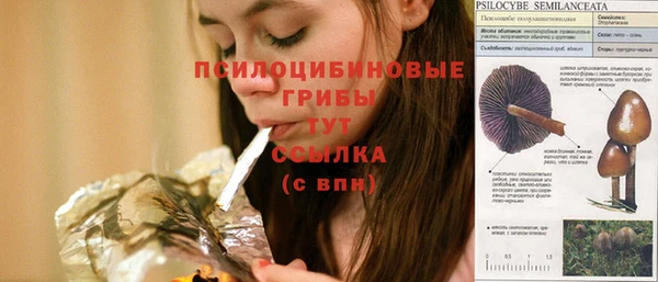 apvp Балабаново