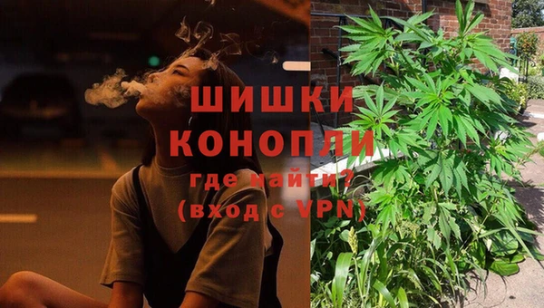 прущие грибы Баксан