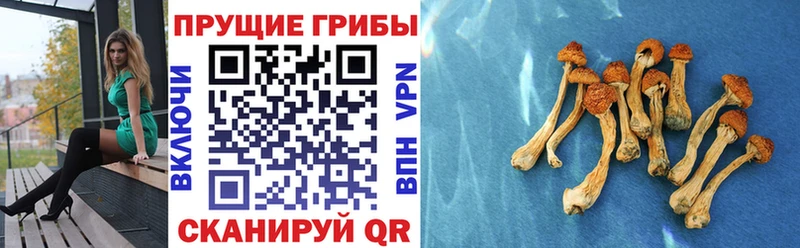 нарко площадка наркотические препараты  Комсомольск  KRAKEN как зайти  Псилоцибиновые грибы мухоморы  цены наркотик 
